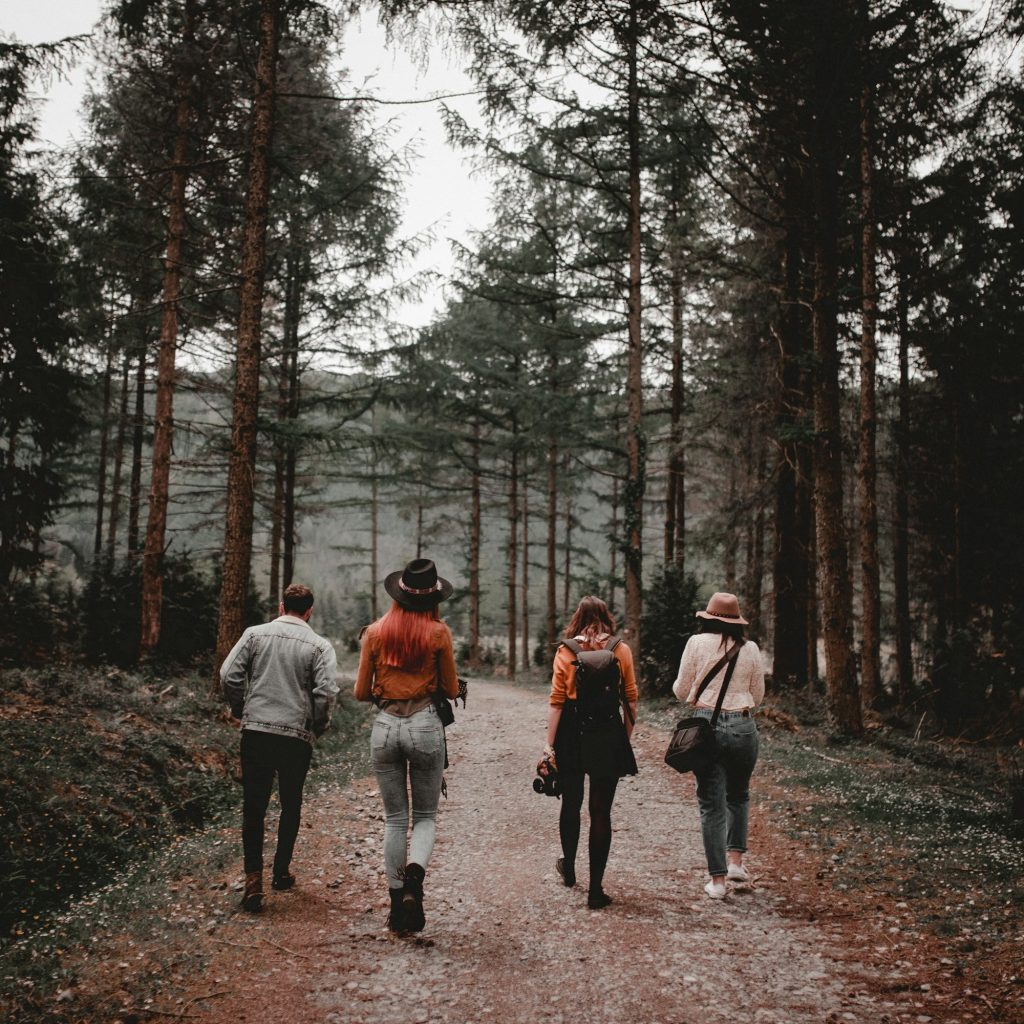 friends going on forest road 1