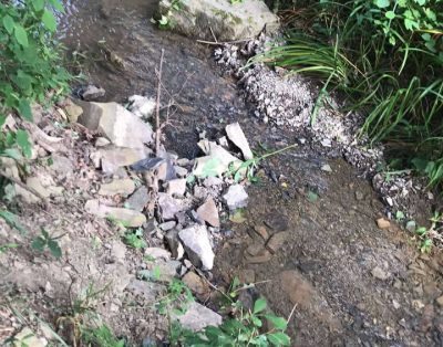 Hedgesville Creek Spot