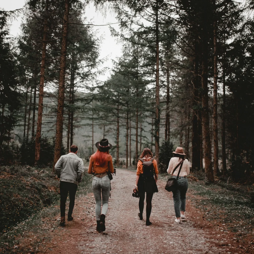 friends going on forest road